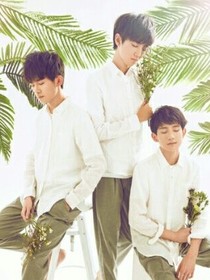 tfboys之宠妻宝典