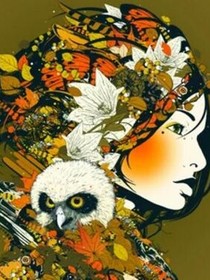卡號(hào)