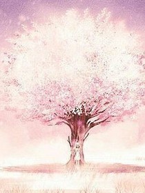 樱花树下的许诺