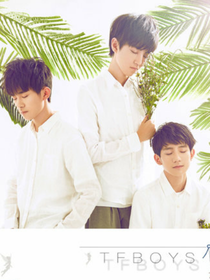 tfboys之紫色花海