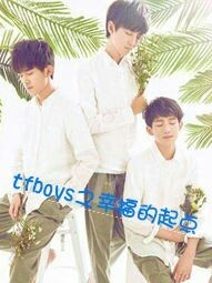 tfboys之幸福的起点