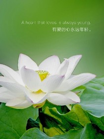 tfboys之陌路無人