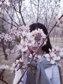 櫻花下的守望