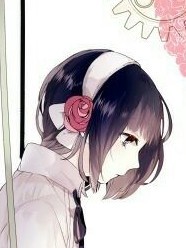 离笙