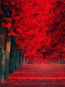 搞笑帝王