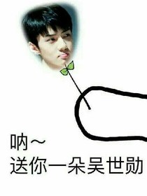 exo的那一年