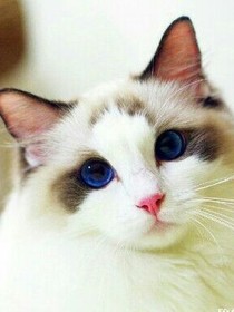 冰雪千封