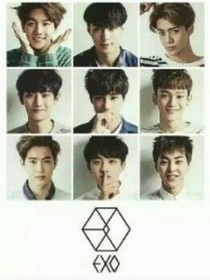 exo之猫咪小姐