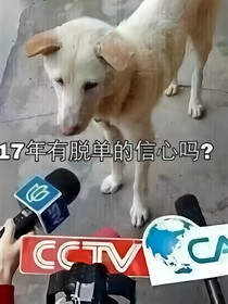 一部名字很长的小说