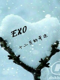 exo恋爱记