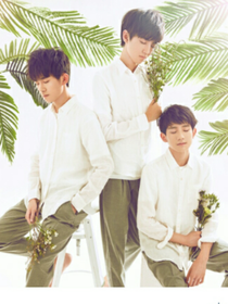 TFBOYS之墨绿色的信箱
