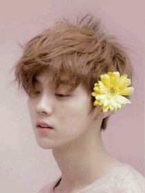 我和鹿晗的爱情