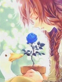 陽光下的彩虹