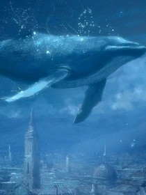 海风吹过