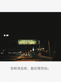我和西比的相遇