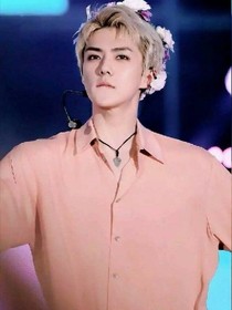 吴世勋之韩娱女王
