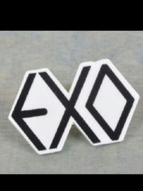 EXO把我装进你的心.