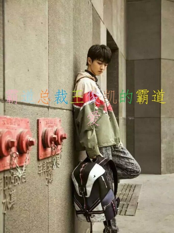 霸道总裁王俊凯的霸道爱