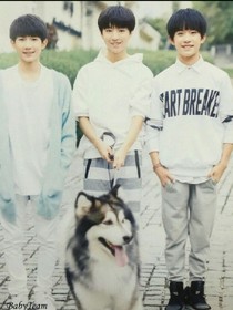 tfboys之愛在情人橋