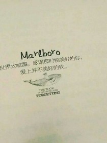寒汐