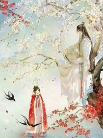 穿越：冷情杀手大小姐