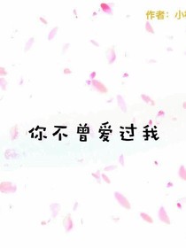 我不曾愛過你