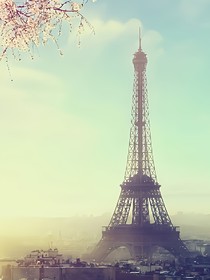一杯空气