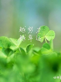 冰淇淋de爱恋
