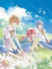 盛夏的恋曲