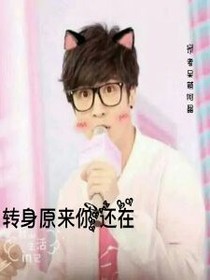 轉(zhuǎn)身原來你還在