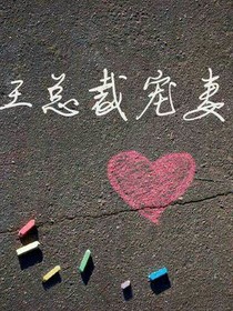 王总裁宠妻方式