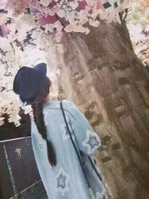 Tf之室公主