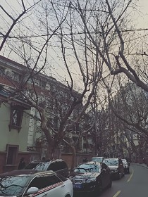 爱不余力
