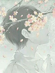 不知芳名