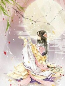 重生之柔情王爷绝色王妃