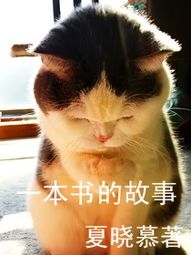 一本书的故事