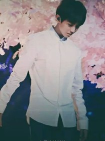 tfboys之皇家三公主的圣樱三王子
