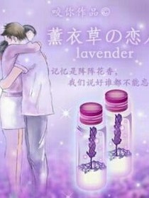 因为遇见薰衣草