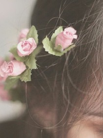 命运的齿轮，爱情的花朵