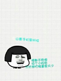 山寨手机有神仙