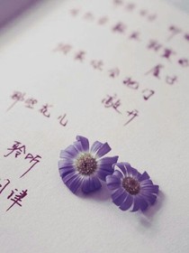 已删文