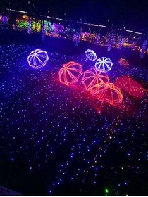 一見(jiàn)鐘情的星辰只為遇見(jiàn)你