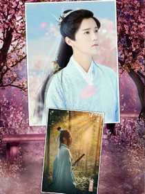 又到樱花落地时