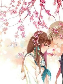 心漾九苡