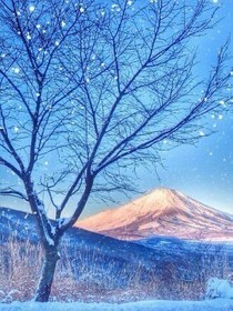 冰与雪之歌