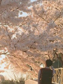 路過你的一場雨
