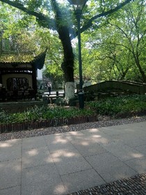 这难道不是爱情吗？