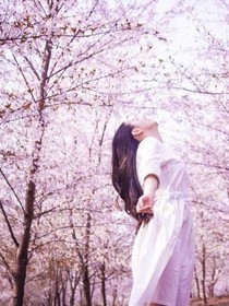 那场樱花雨，只剩了回忆