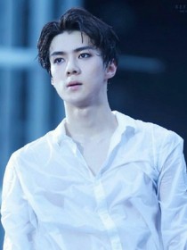 EXO之鏡面幻想