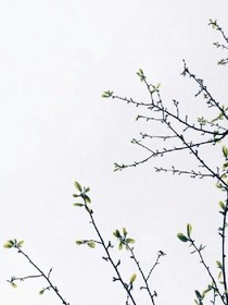 明天的故事